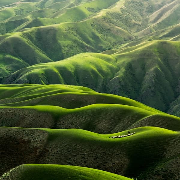 Naturaleza